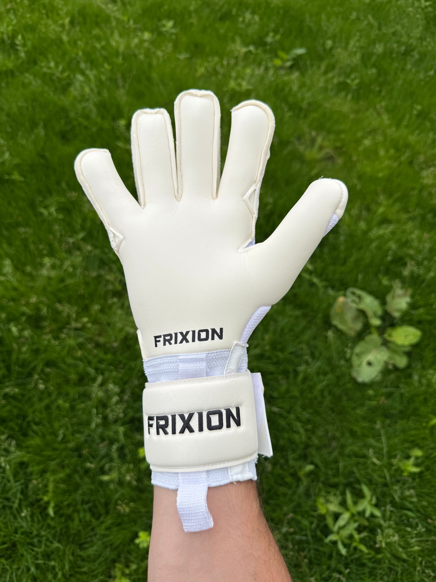 FrixionGK Latex V3